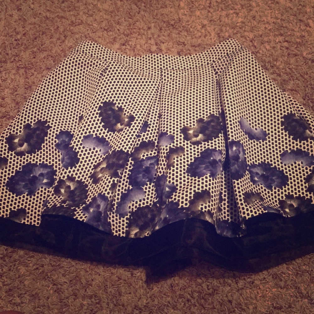 Express skirt